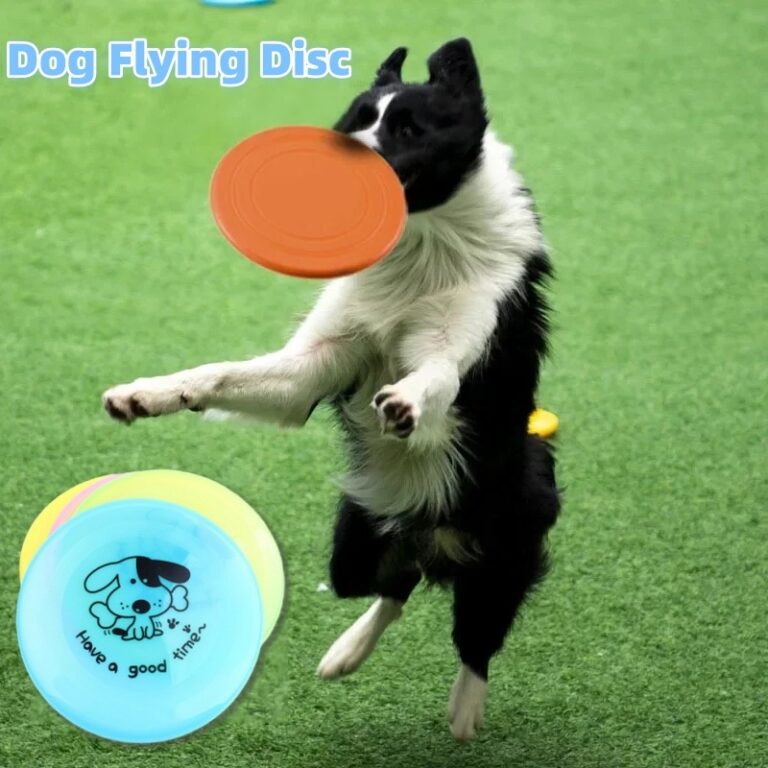 e656489d-734b-40a9-9d9d-1cd2f2921875